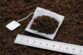 Trials: Measuring soil life with a simple teabag